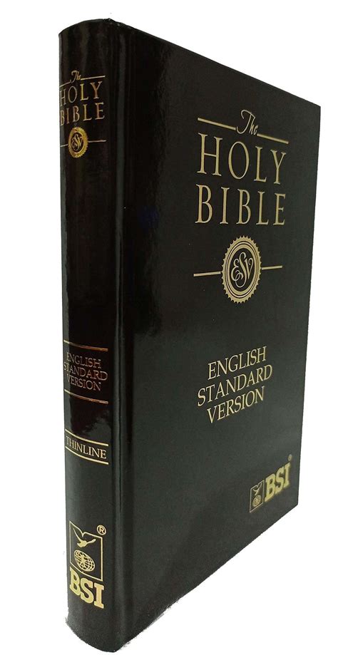 What is the esv version of the bible. Things To Know About What is the esv version of the bible. 